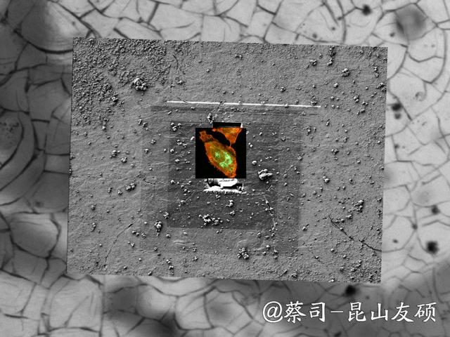 万州万州蔡司万州扫描电镜