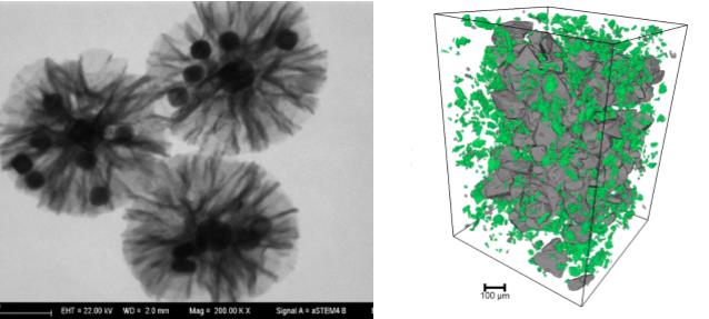 万州万州蔡司万州扫描电镜